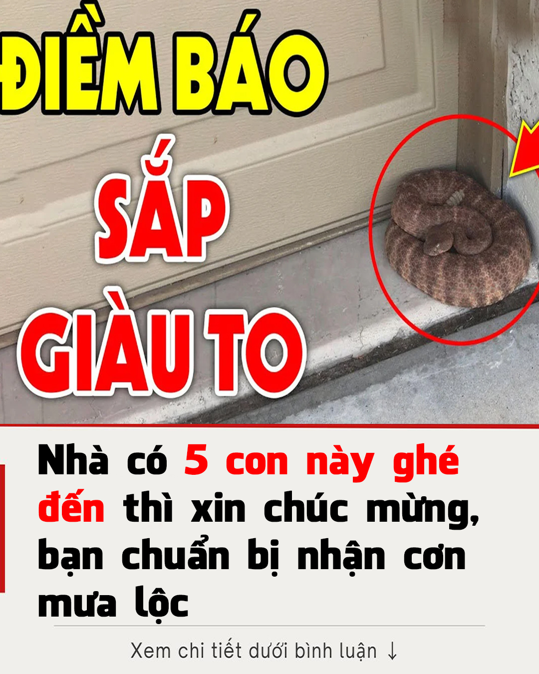 Tổ Tiên nói: ‘5 con vật là đệ tử Thần Tài, đến nhà ai nhà đó giàu, tiền tiêu không hết’, đừng đuổi đi